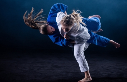 Erfordert ähnliche Eigenschaften wie die Mitgliedschaft bei Inter Wheel: Judo (Foto: iStock)